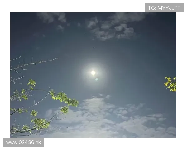 月色如水，倾泻“非常月母”的温柔与力量